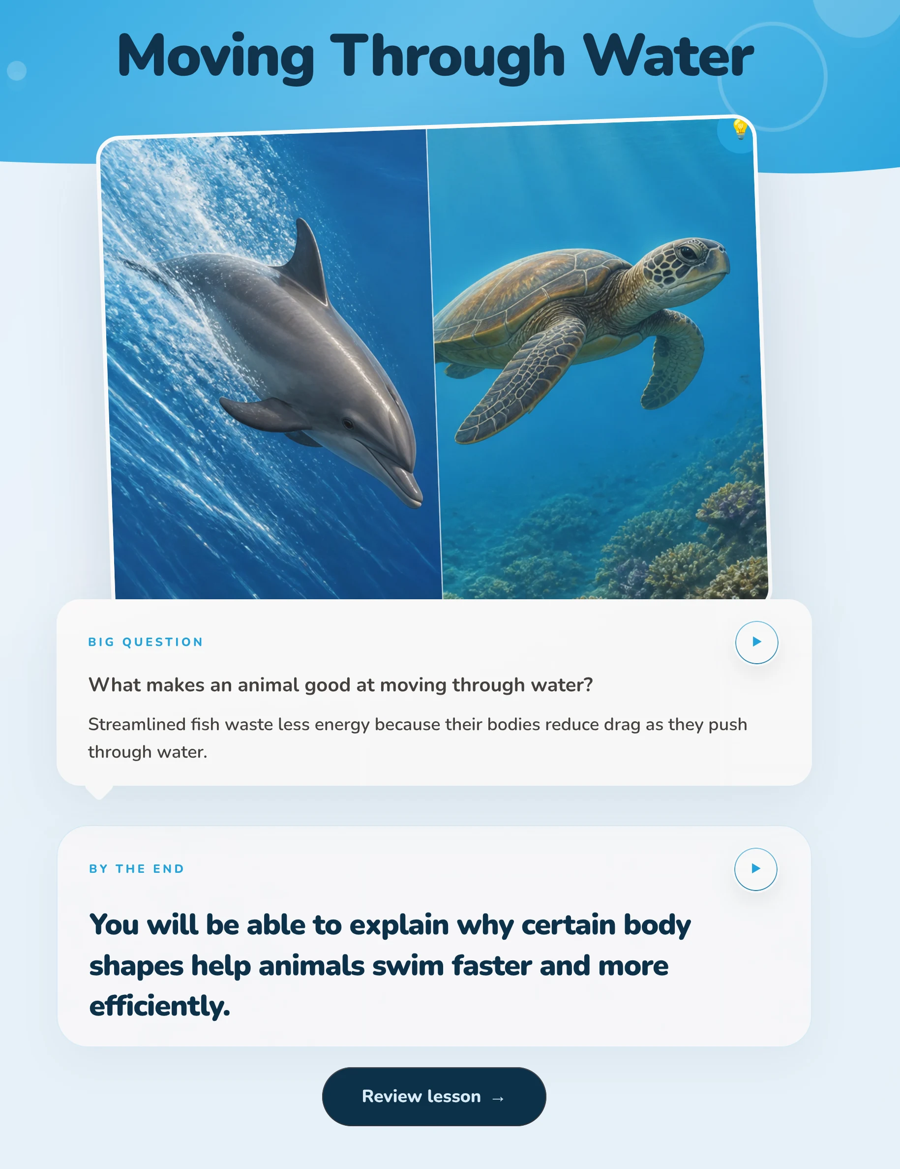 Moving Through Water lesson. A dolphin and a sea turtle, the question of what makes an animal good at moving through water, and what you will be able to explain.