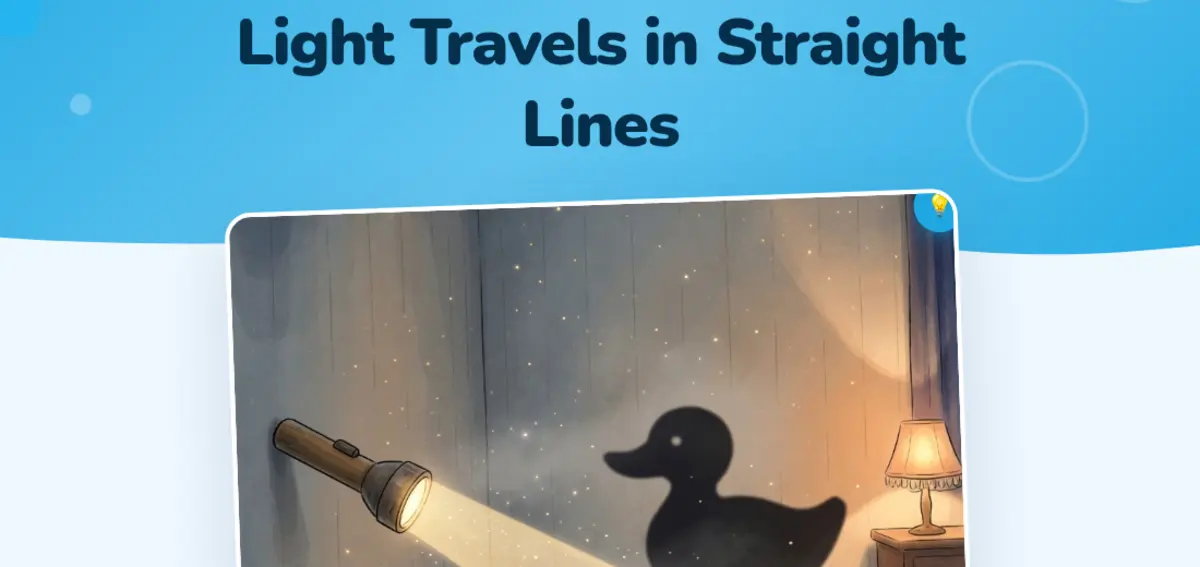 Light Travels in Straight Lines. The hook shows a flashlight beam and a duck’s shadow.